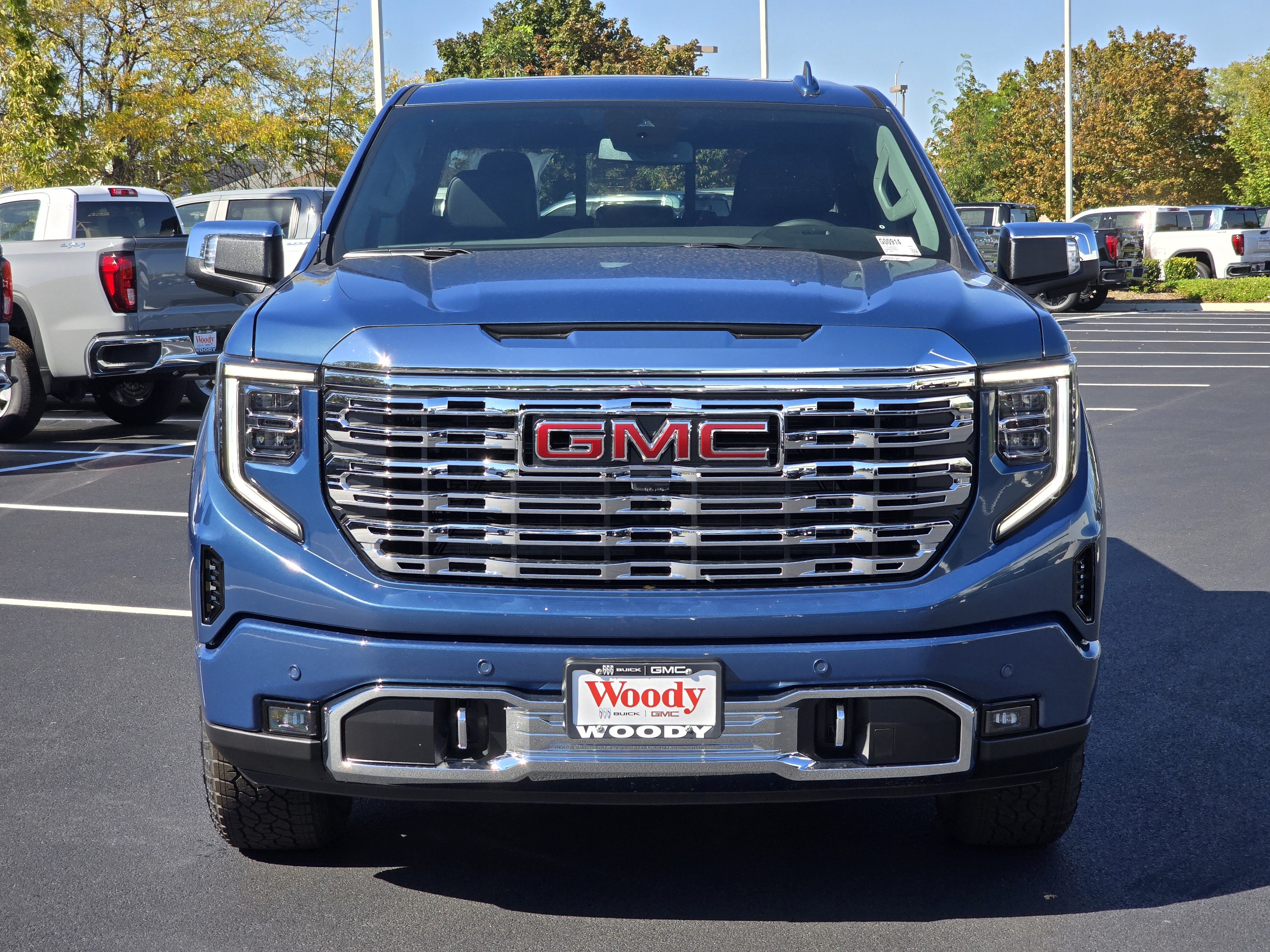 2025 GMC Sierra 1500 Denali 4