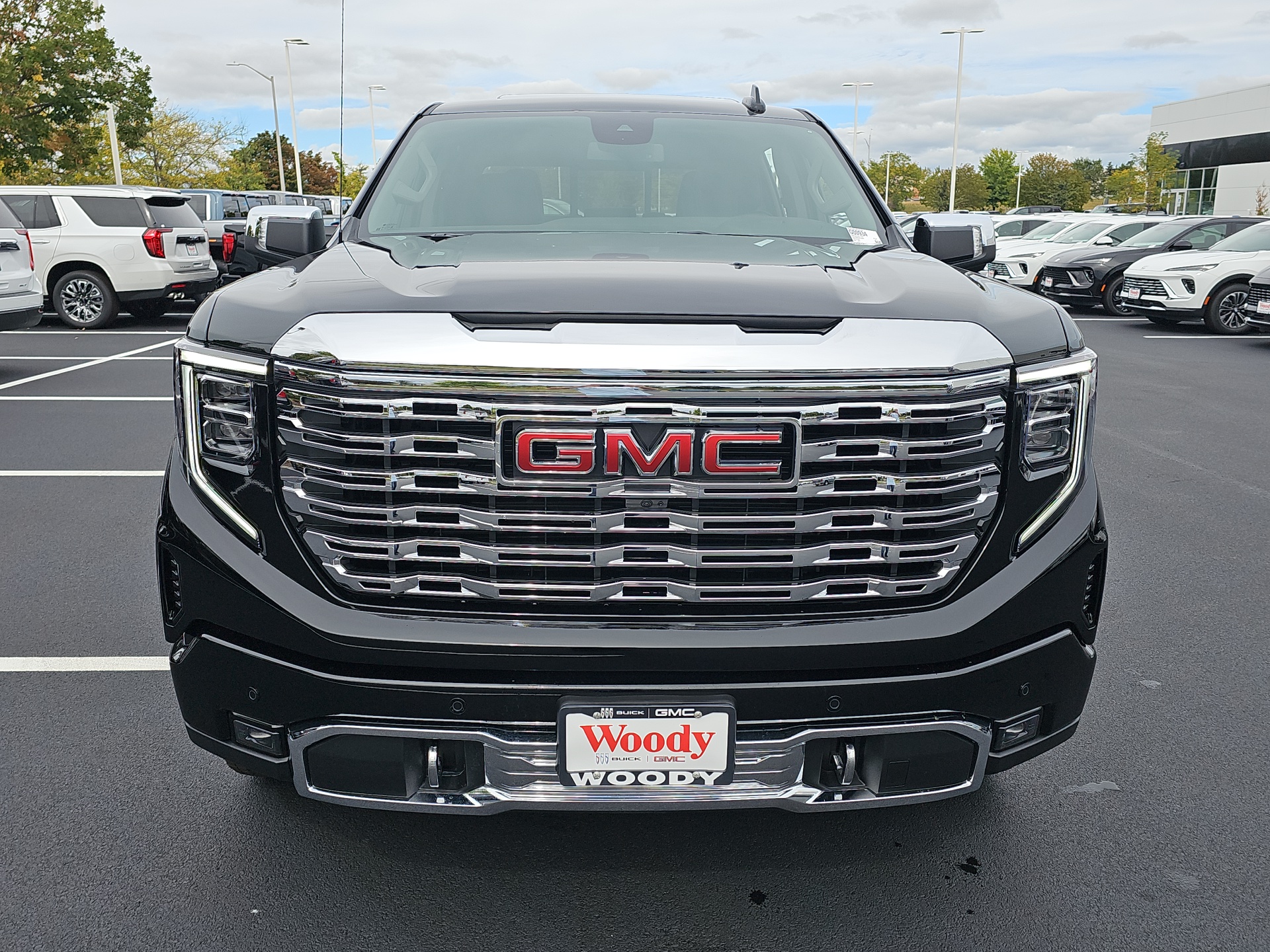 2025 GMC Sierra 1500 Denali 3