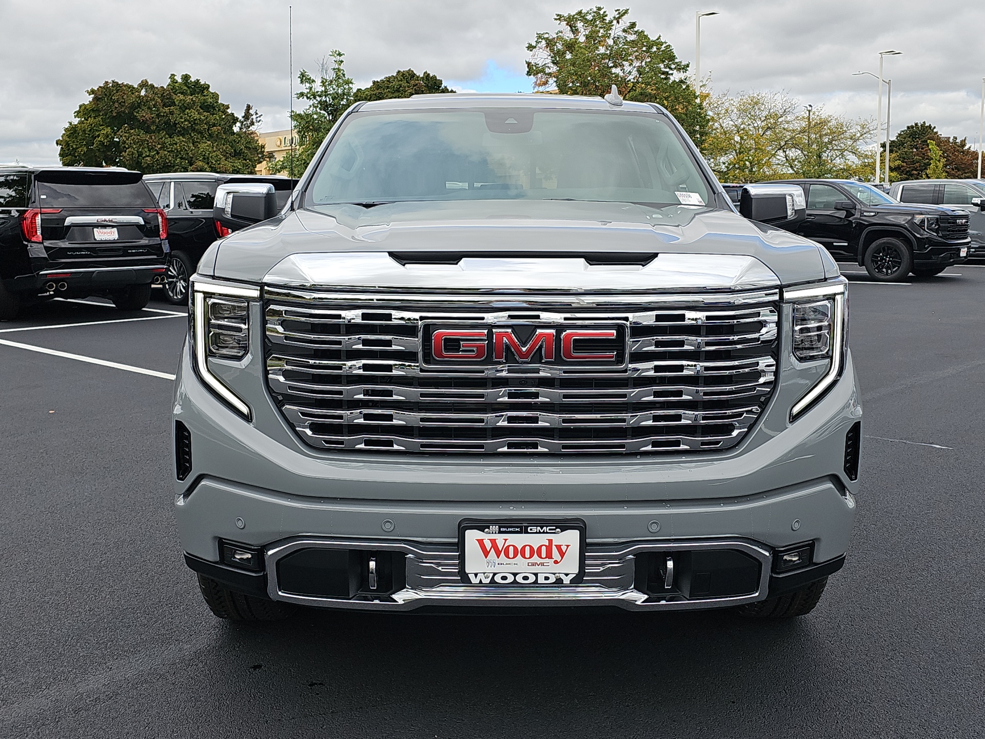 2025 GMC Sierra 1500 Denali 3