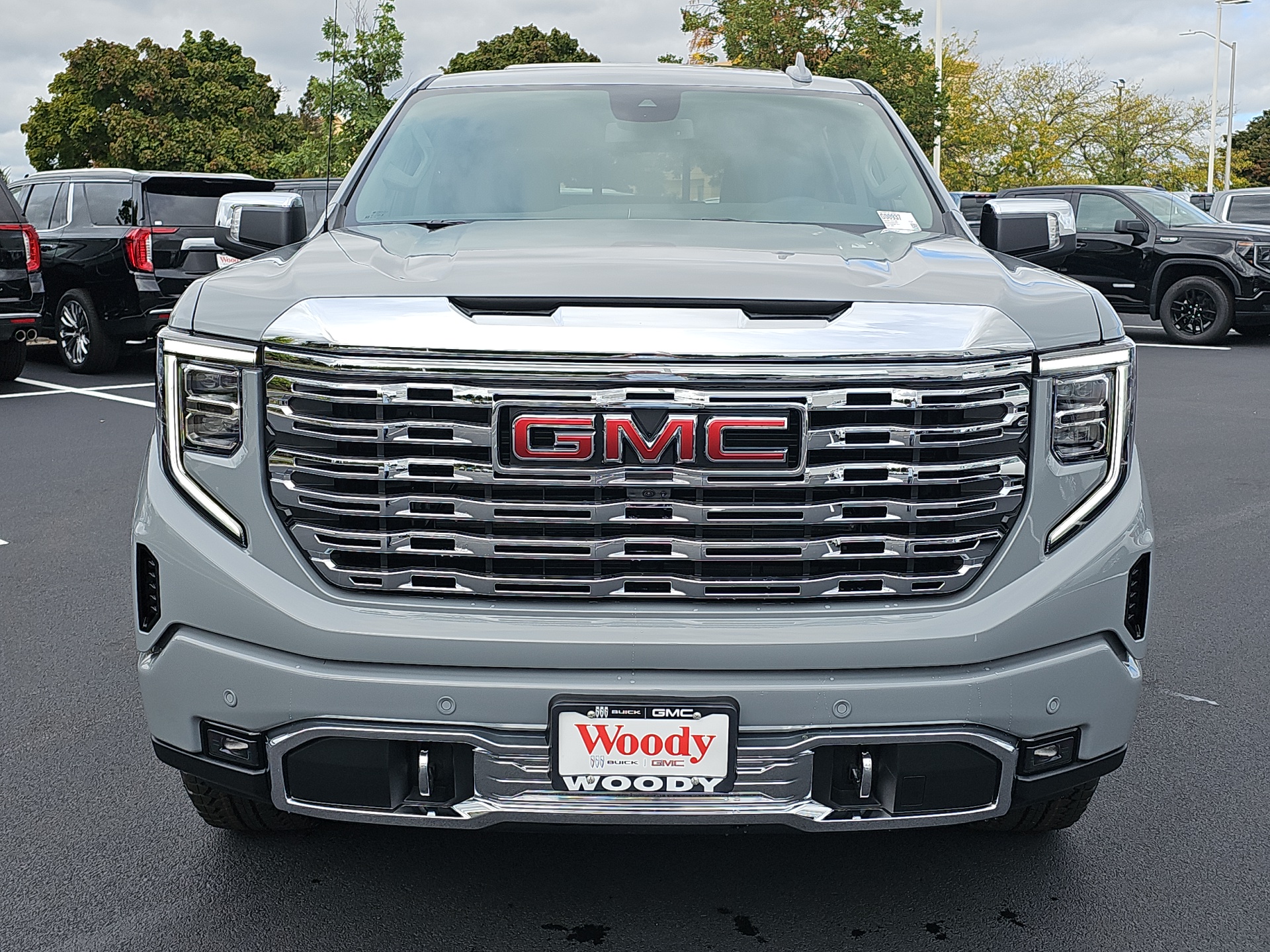 2025 GMC Sierra 1500 Denali 3