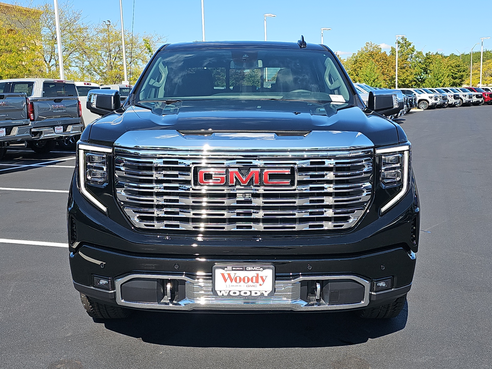 2025 GMC Sierra 1500 Denali 3