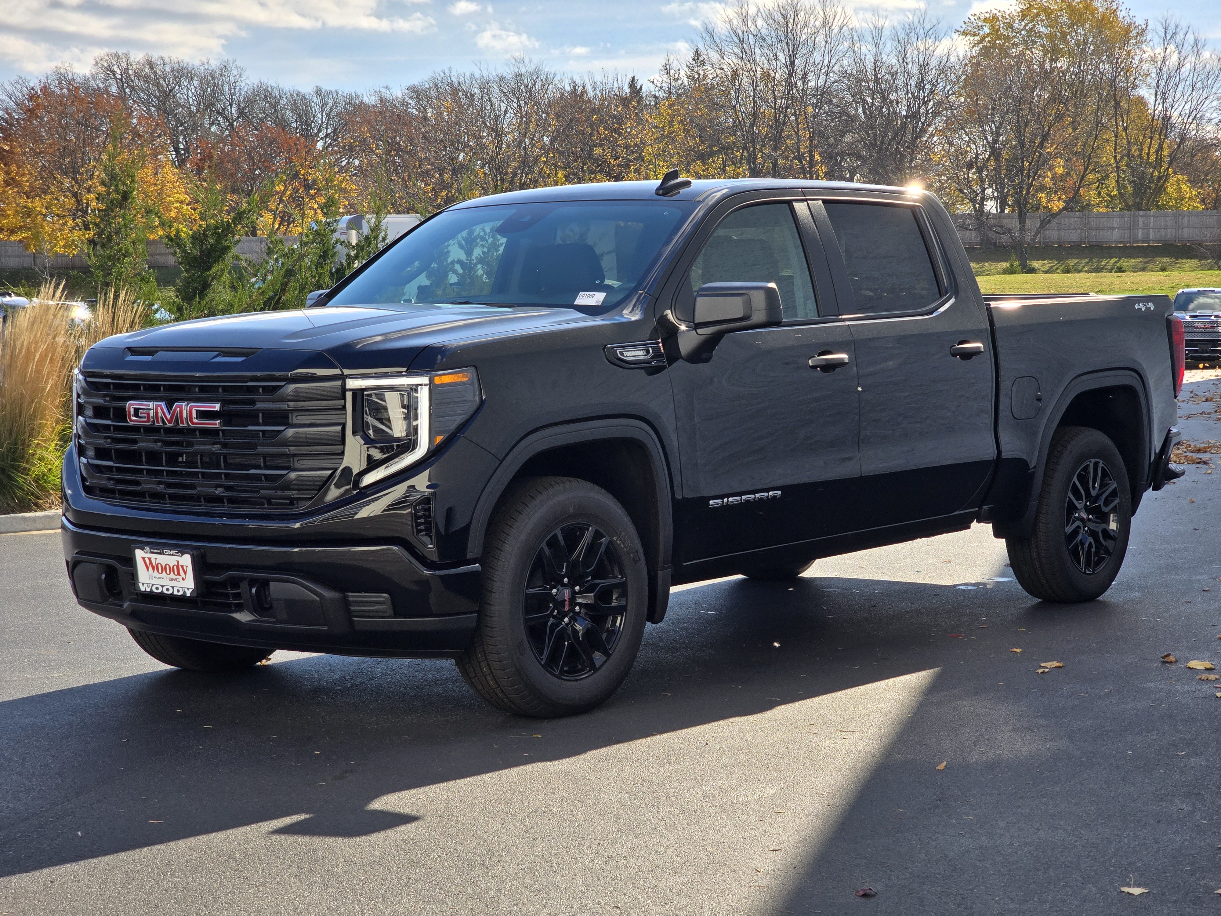 2025 GMC Sierra 1500 Pro 9