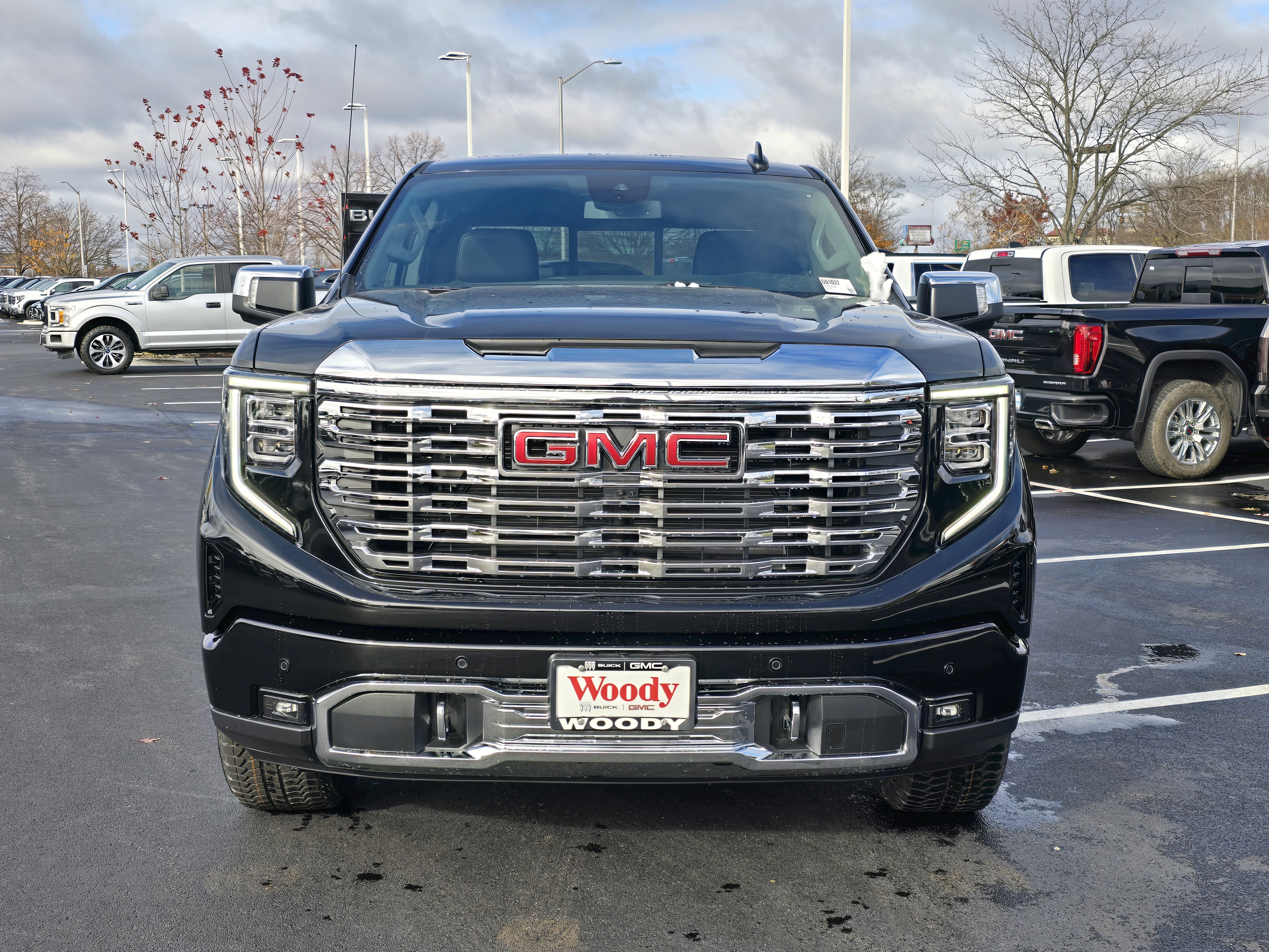 2025 GMC Sierra 1500 Denali 3