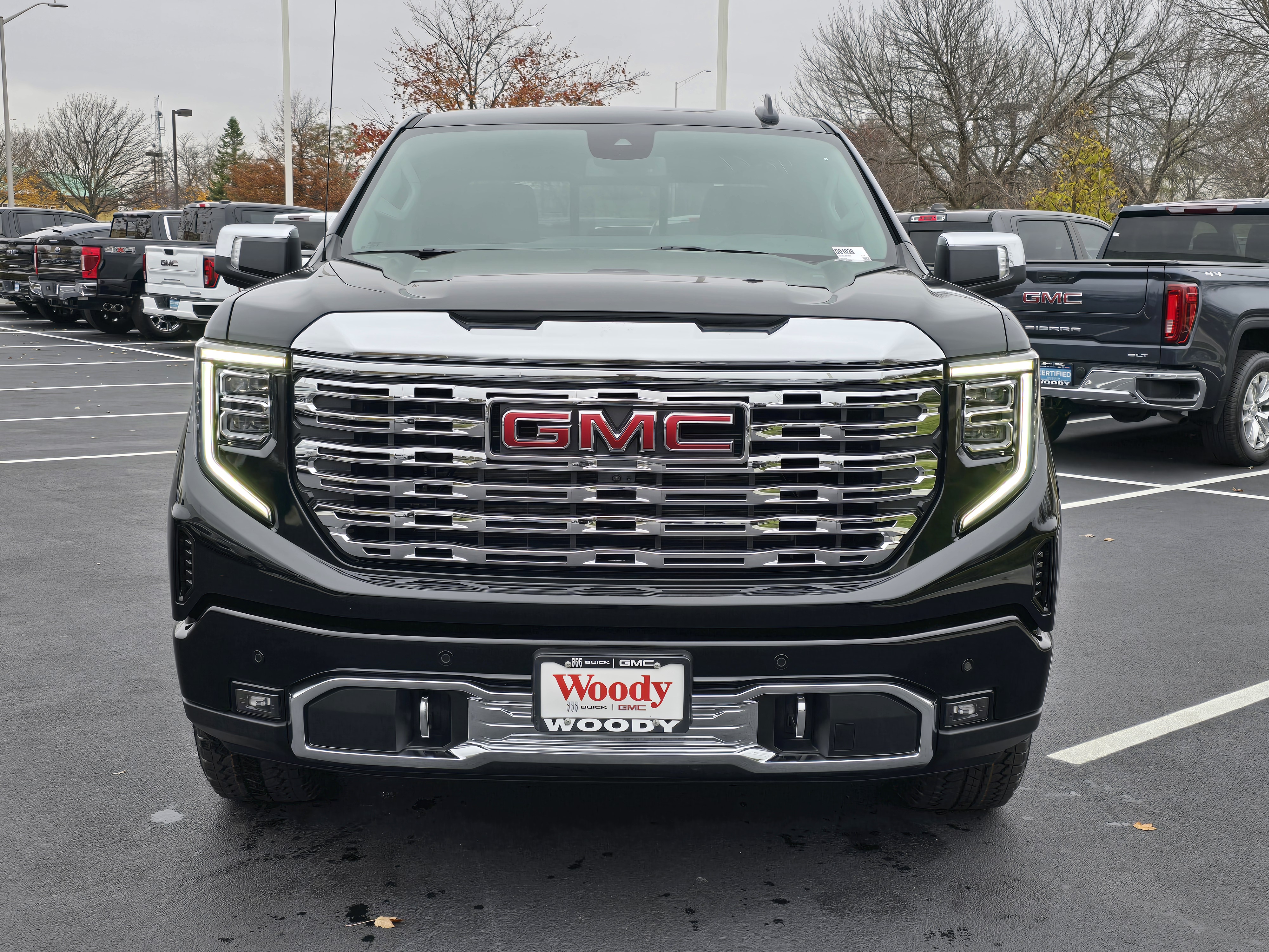 2025 GMC Sierra 1500 Denali 3