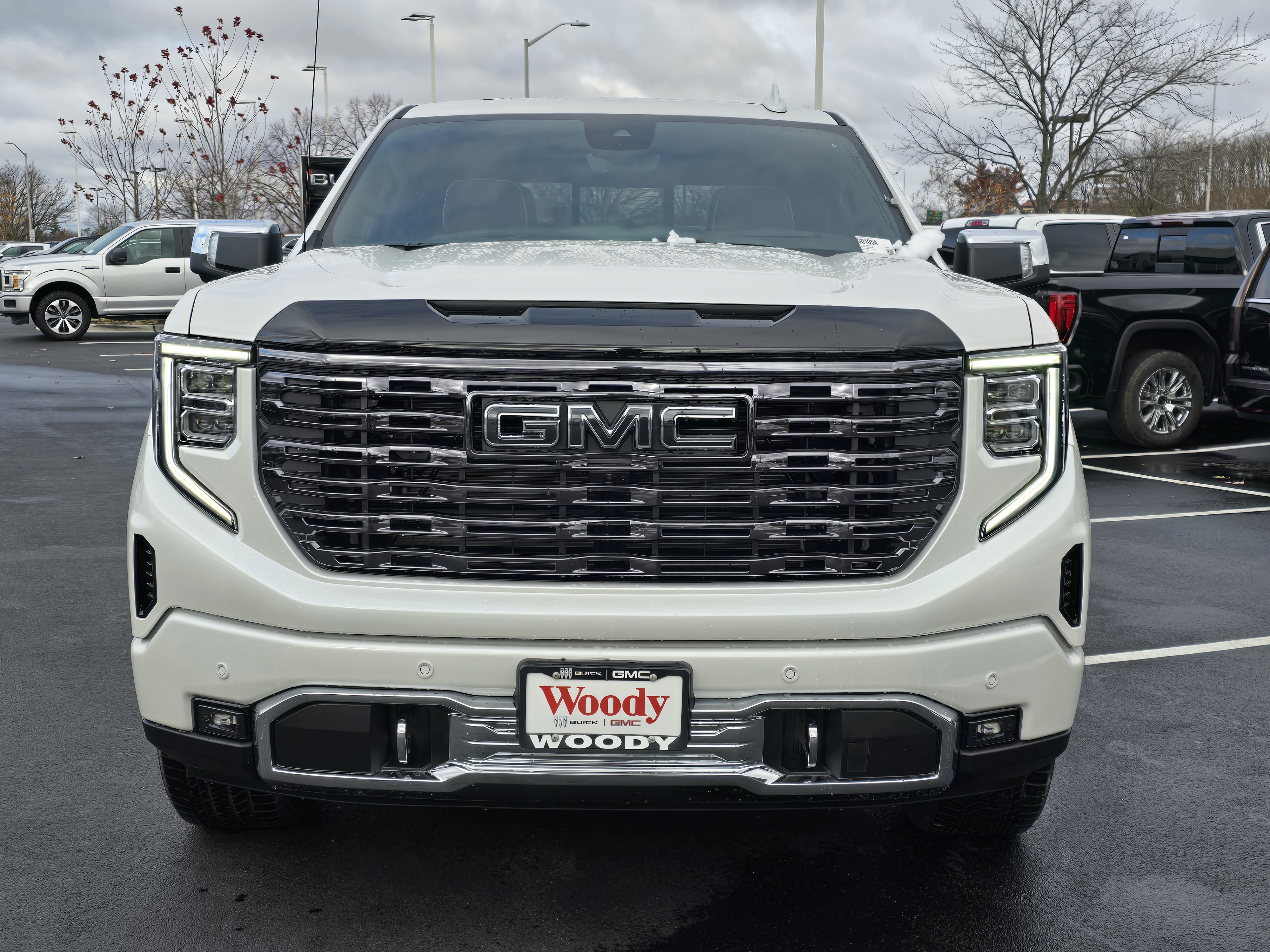 2025 GMC Sierra 1500 Denali Ultimate 3