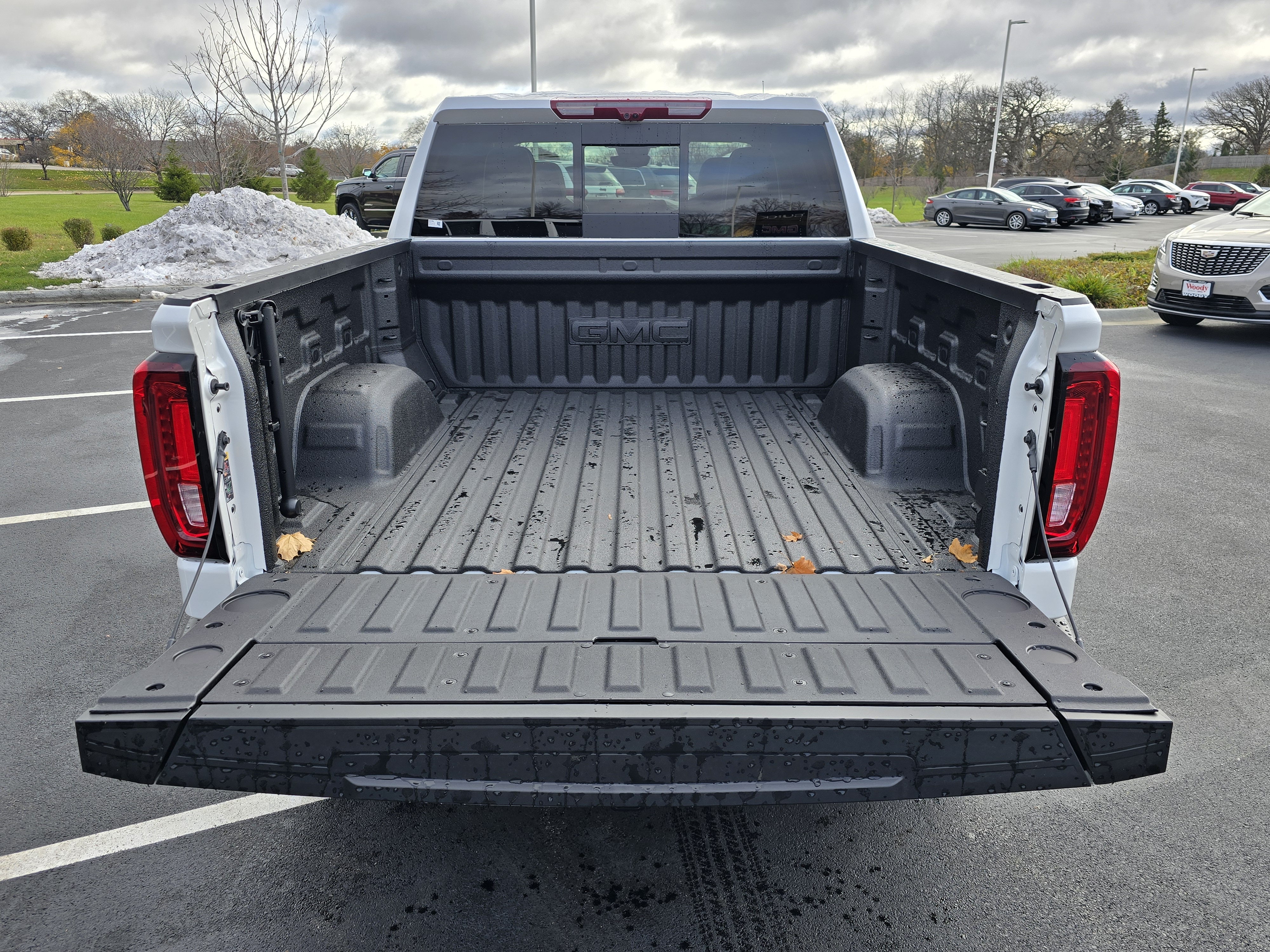 2025 GMC Sierra 1500 Denali Ultimate 30