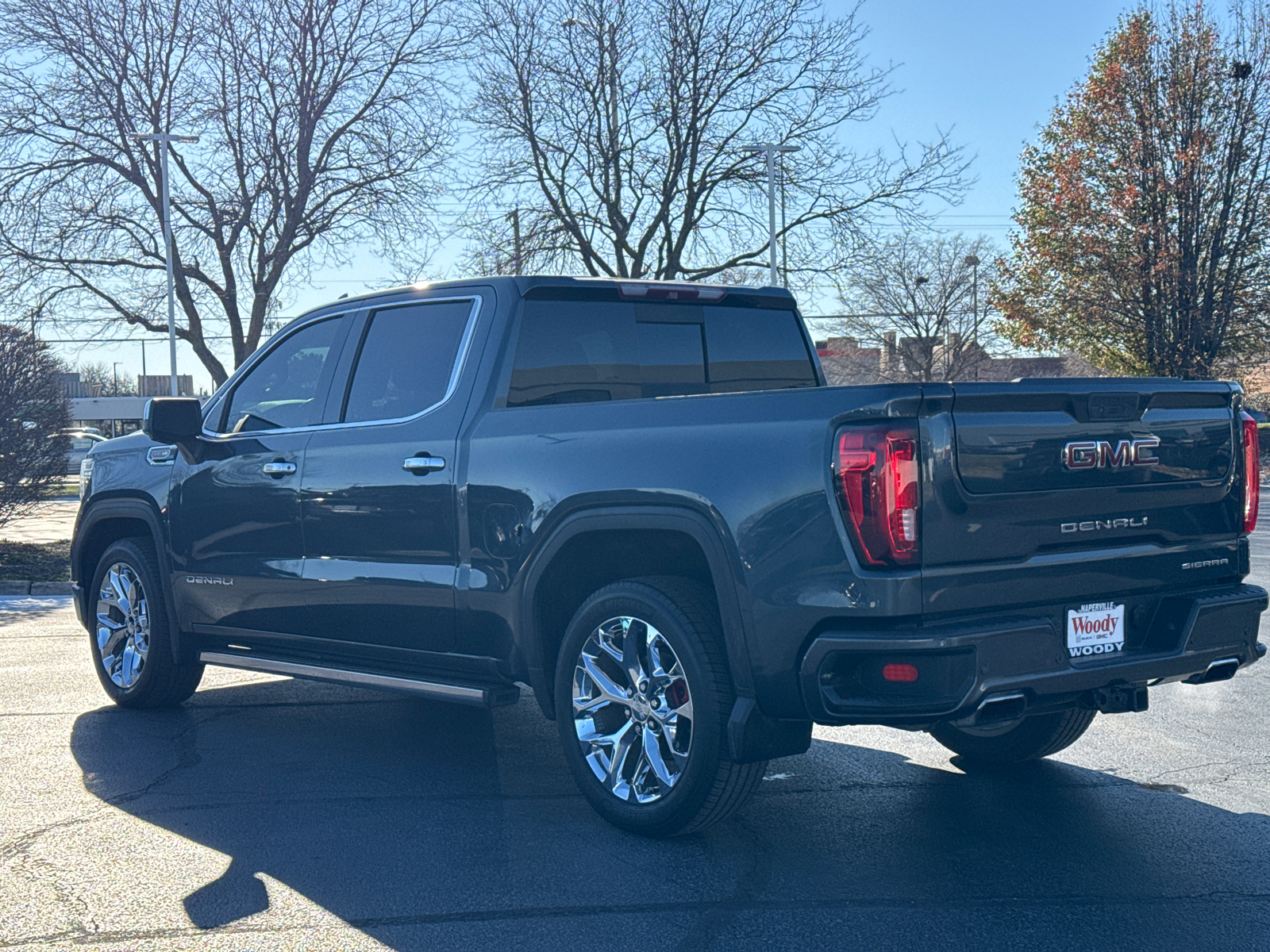 2019 GMC Sierra 1500 Denali 6