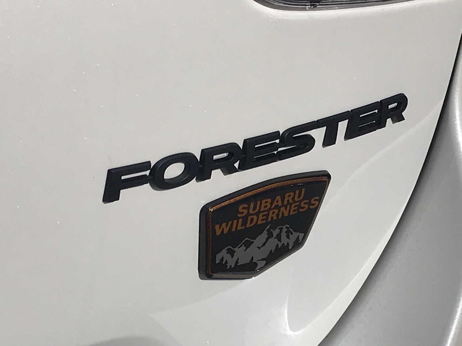 2024 Subaru Forester Wilderness 24