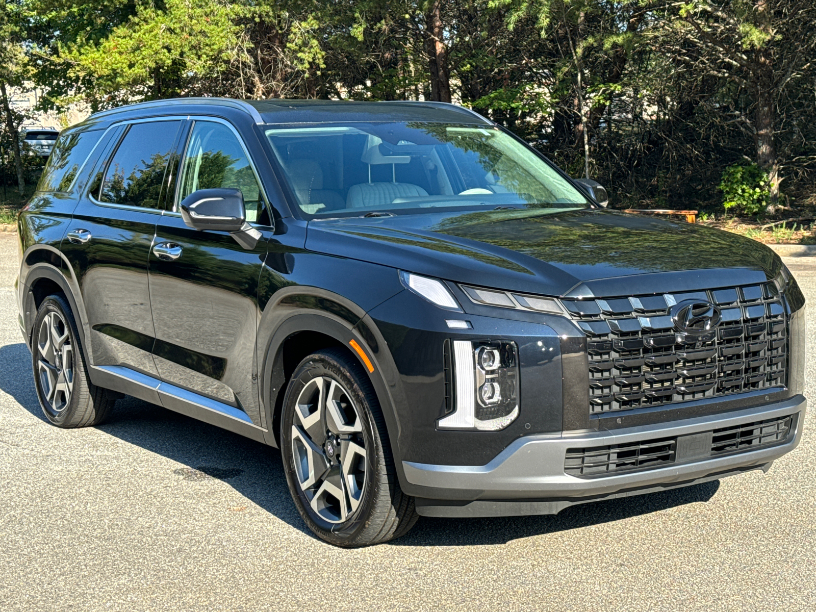 2023 Hyundai Palisade Limited 3