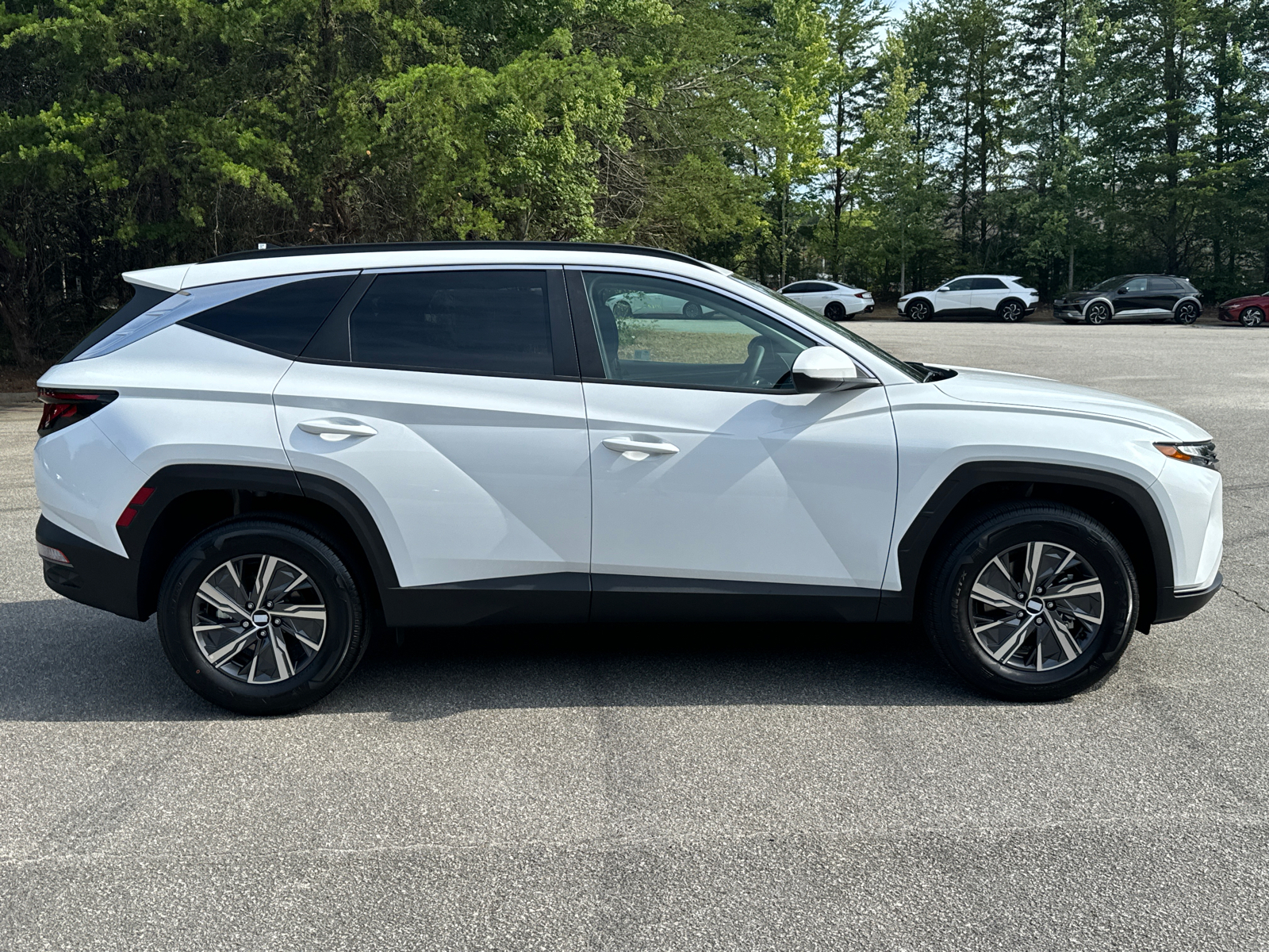 2024 Hyundai Tucson Hybrid Blue 5