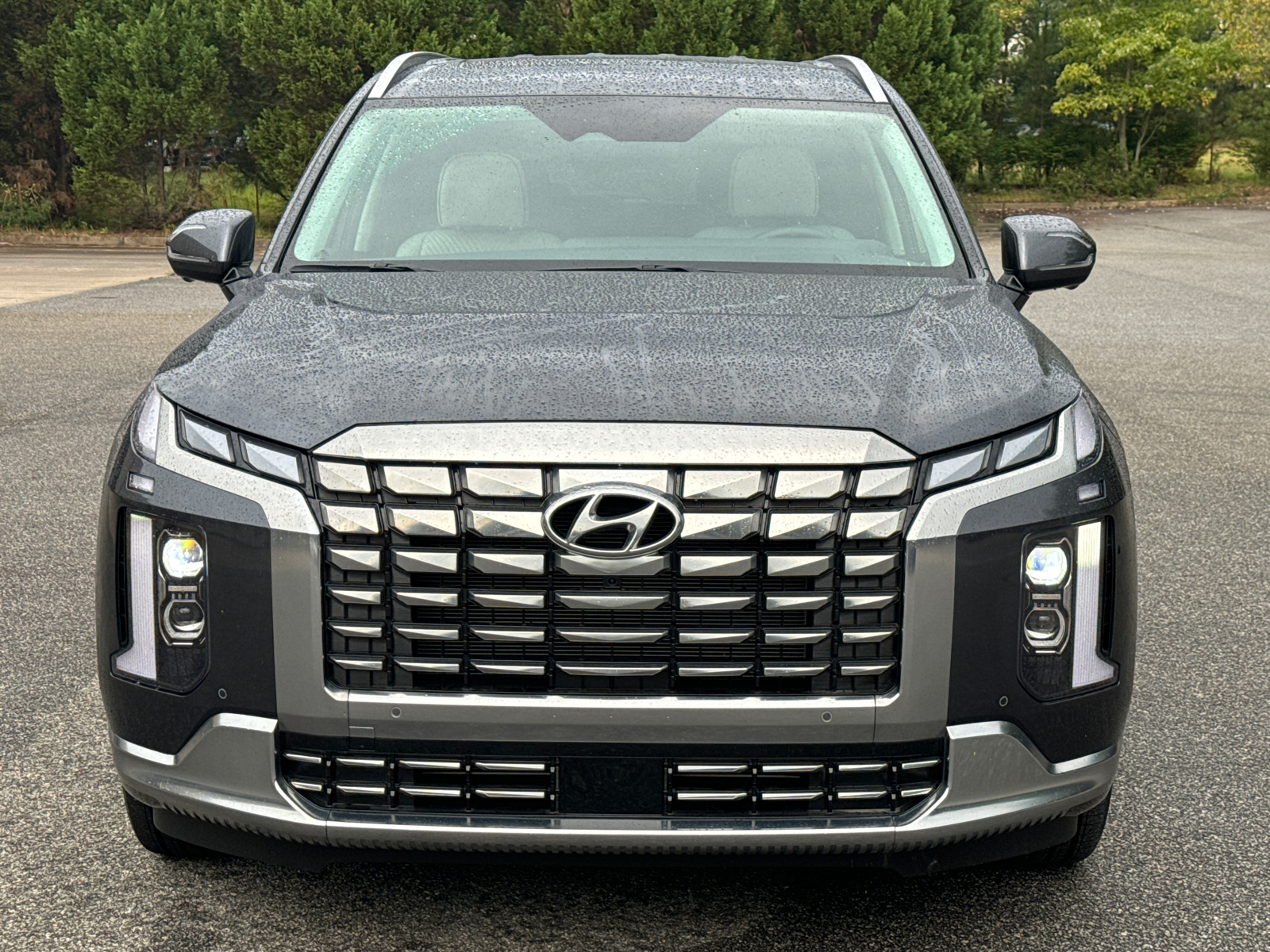 2024 Hyundai Palisade Calligraphy 2