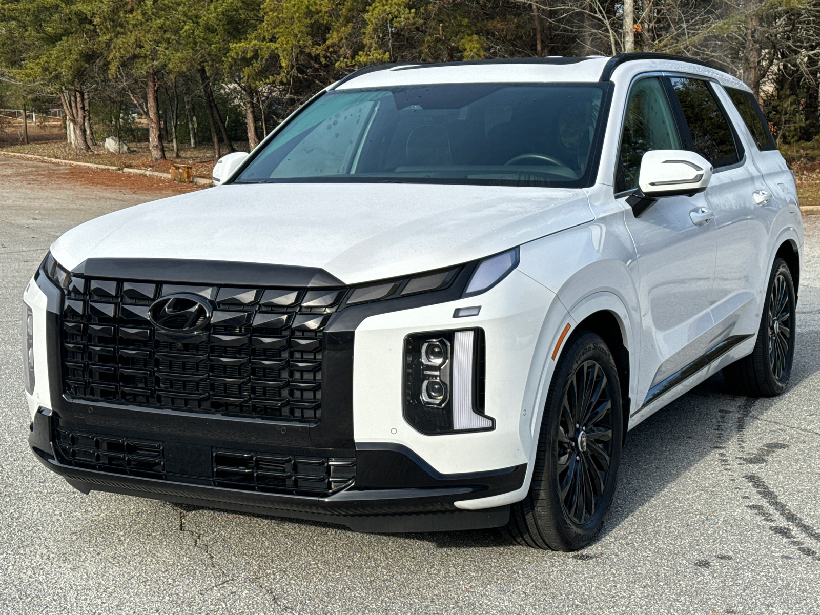 2024 Hyundai Palisade Calligraphy Night Edition 1