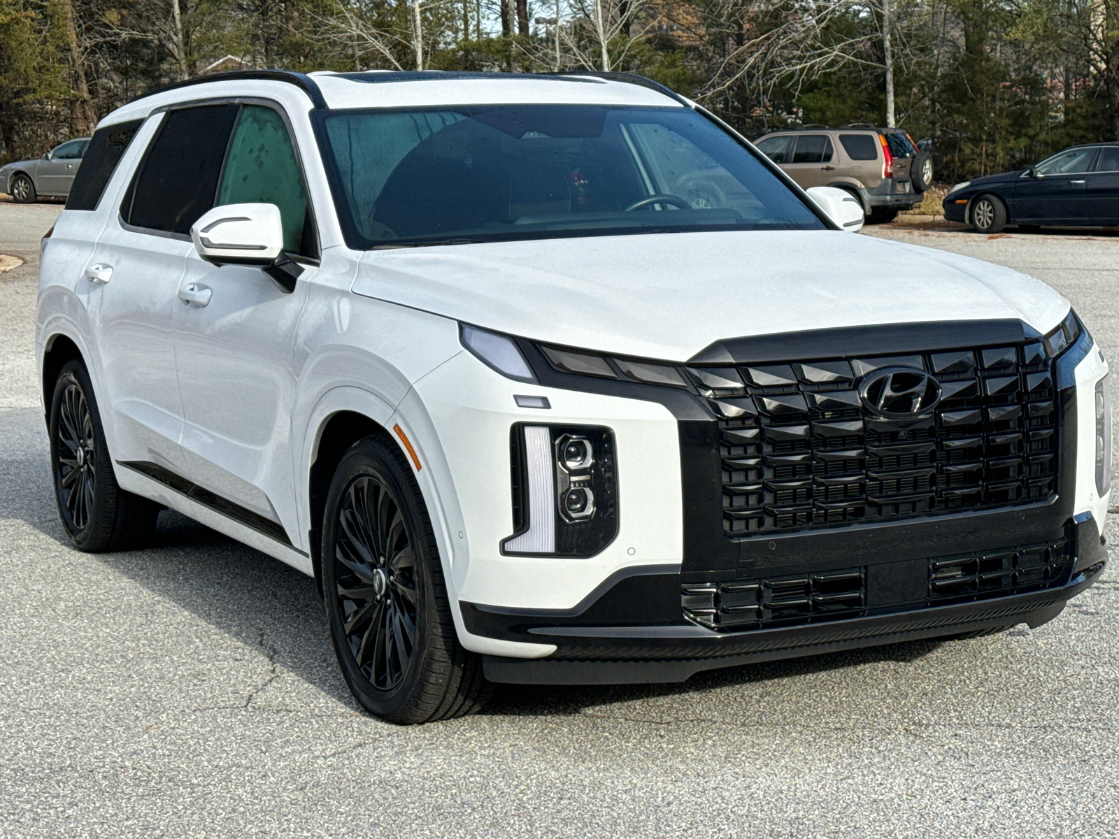 2024 Hyundai Palisade Calligraphy Night Edition 3