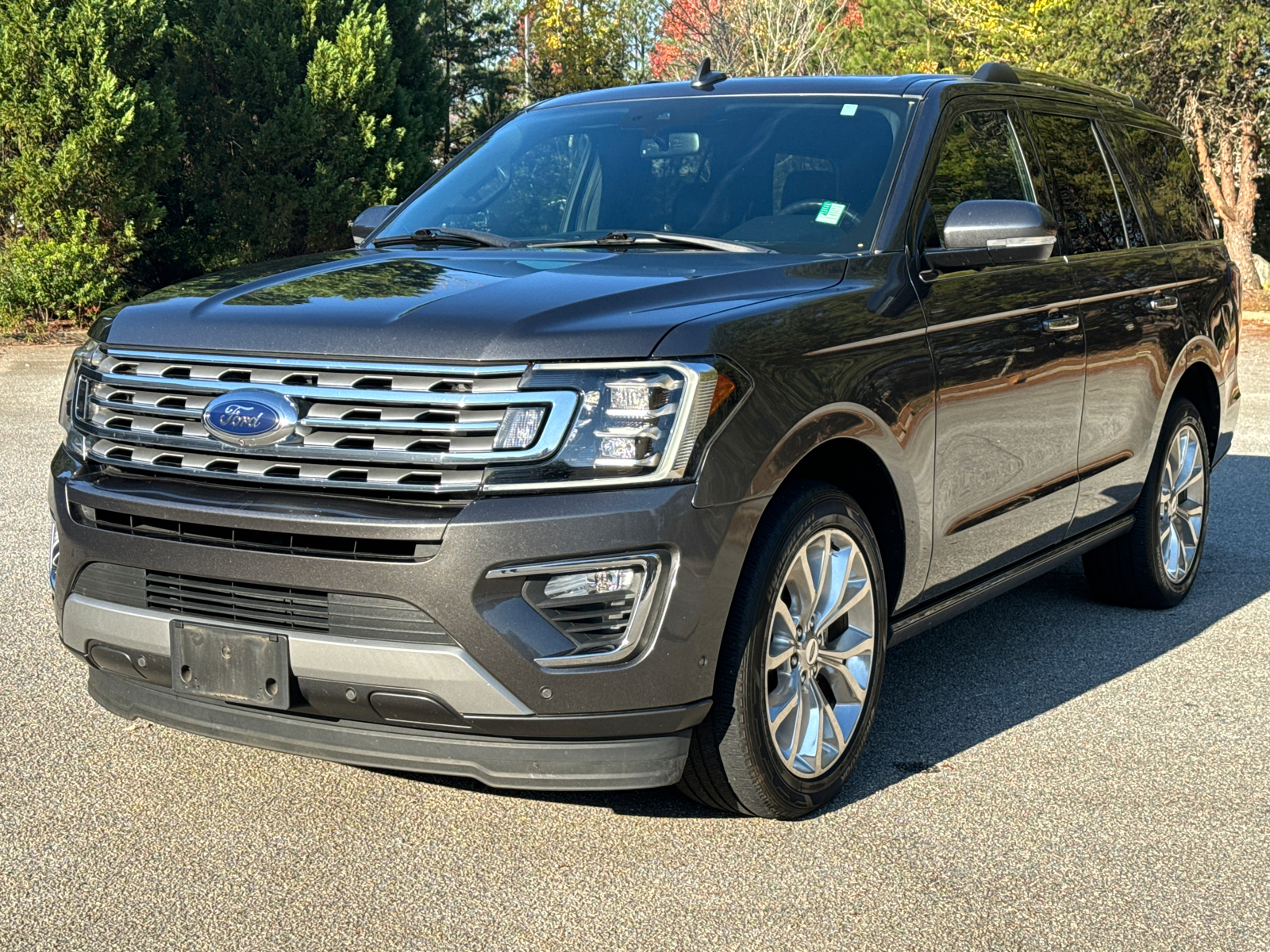 2019 Ford Expedition Limited 1