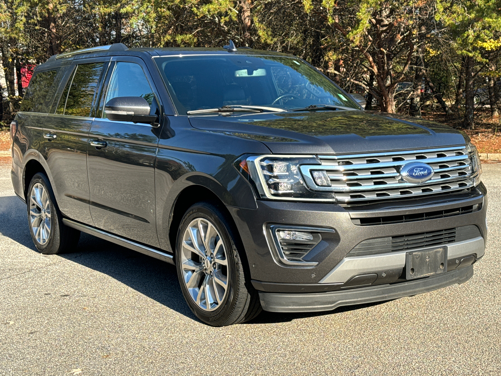 2019 Ford Expedition Limited 3