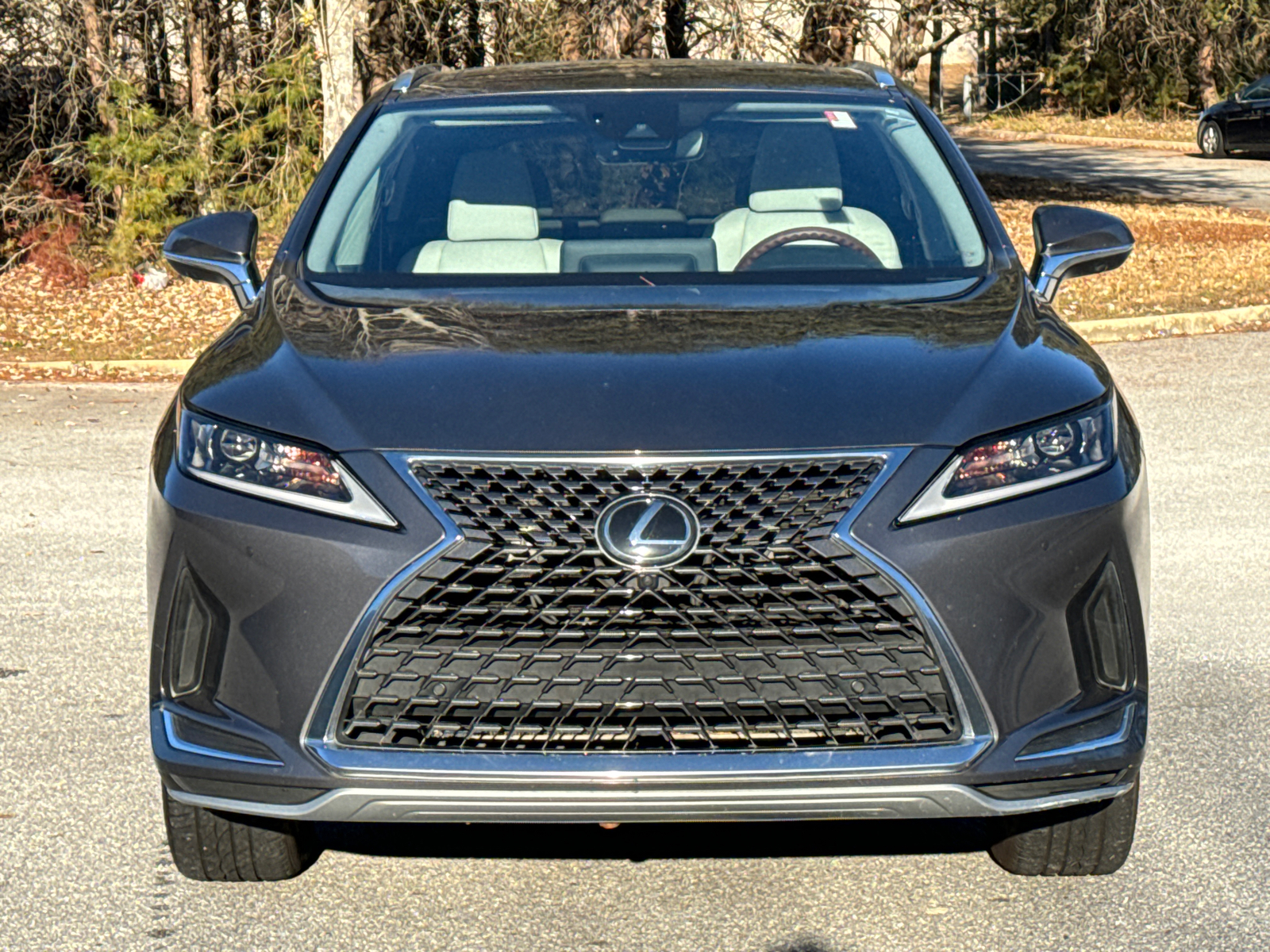 2020 Lexus RX 350 2