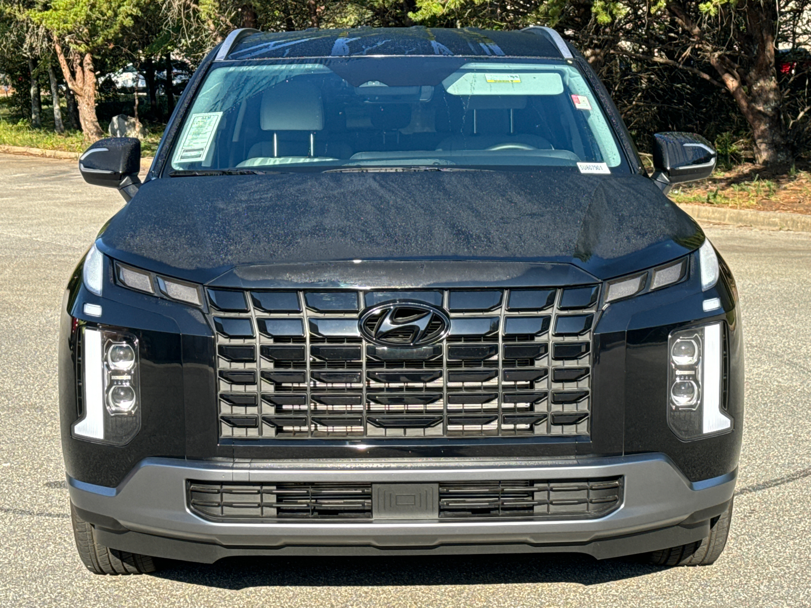 2025 Hyundai Palisade SEL 2