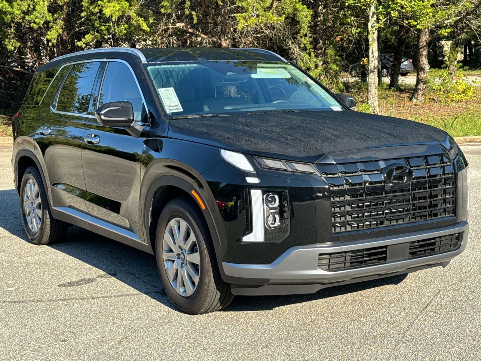 2025 Hyundai Palisade SEL 3