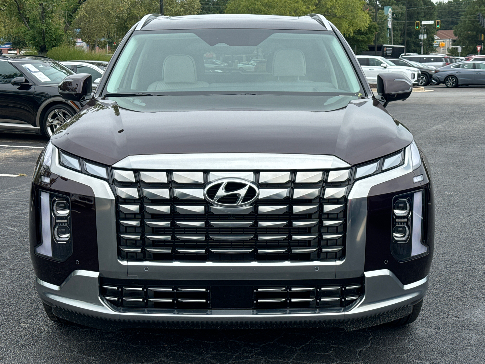 2025 Hyundai Palisade Calligraphy 2