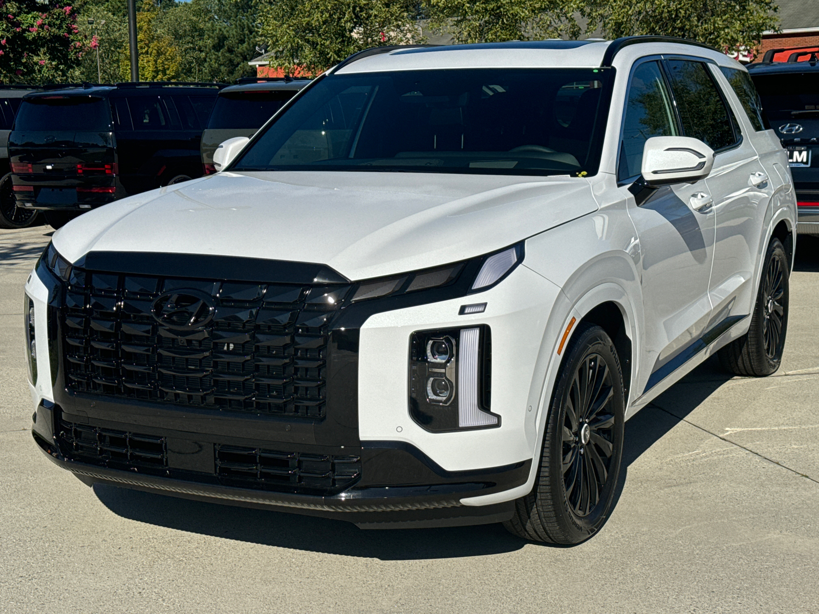 2025 Hyundai Palisade Calligraphy Night Edition 1