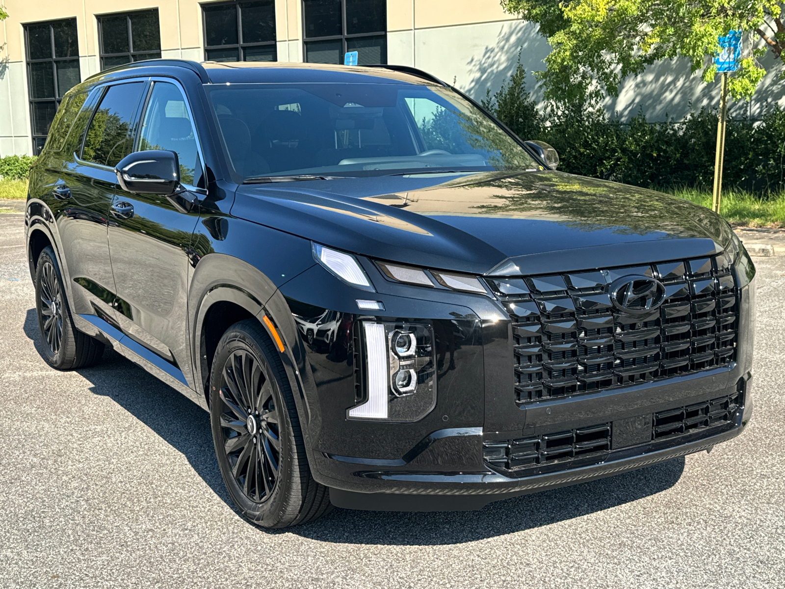 2025 Hyundai Palisade Calligraphy Night Edition 3