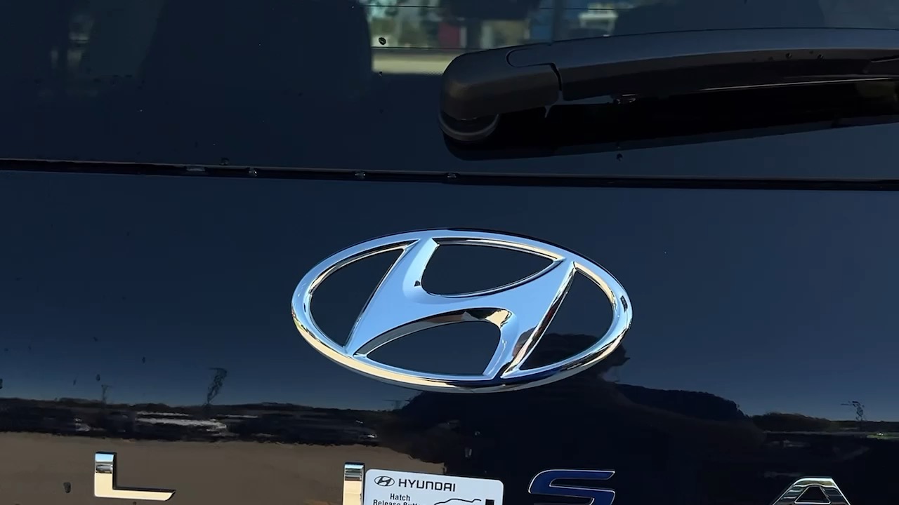 2025 Hyundai Palisade Calligraphy 14