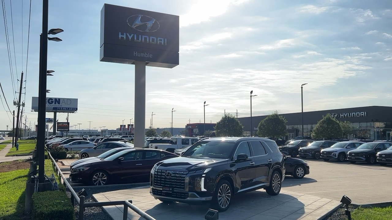 2025 Hyundai Palisade Calligraphy 40