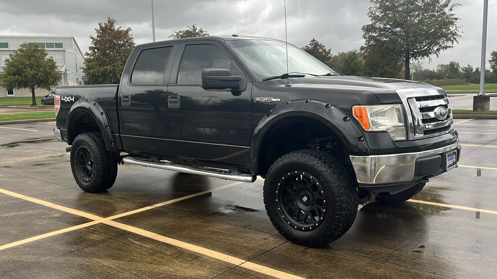 2010 Ford F-150  13