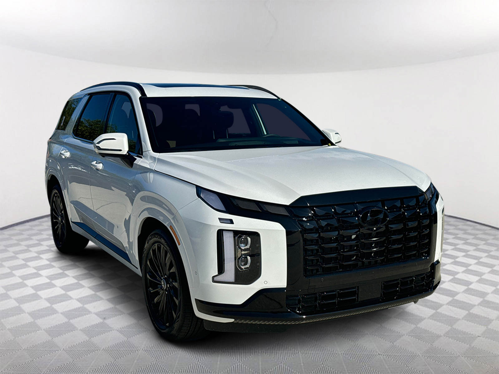 2025 Hyundai Palisade Calligraphy Night Edition 3