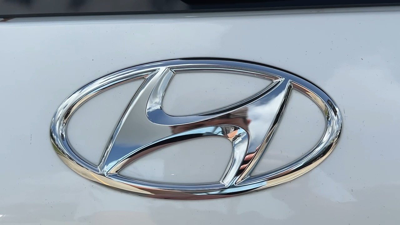 2024 Hyundai Santa Fe Calligraphy 14