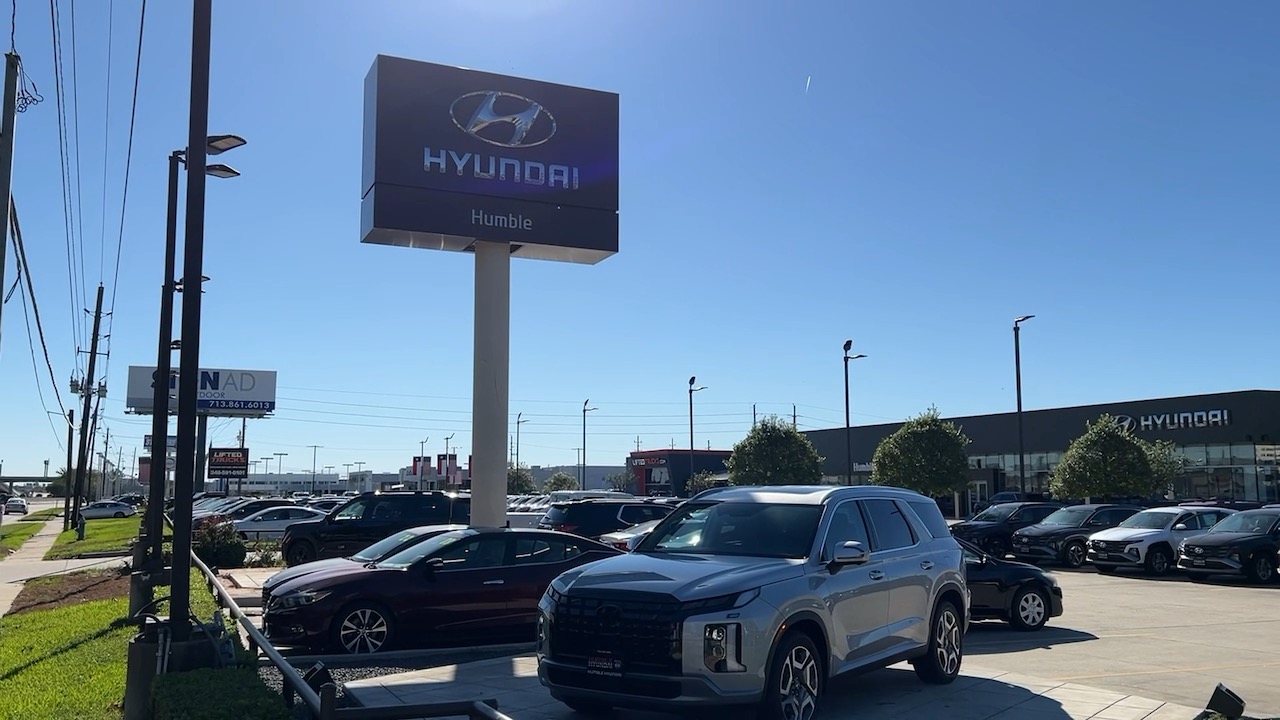 2025 Hyundai Palisade SEL Premium 39