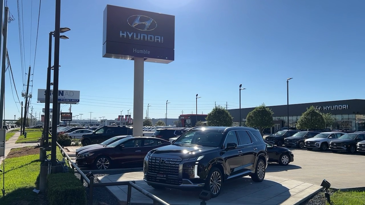 2025 Hyundai Palisade Calligraphy 40