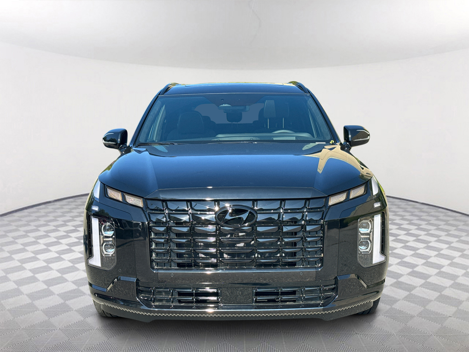 2025 Hyundai Palisade Calligraphy Night Edition 2