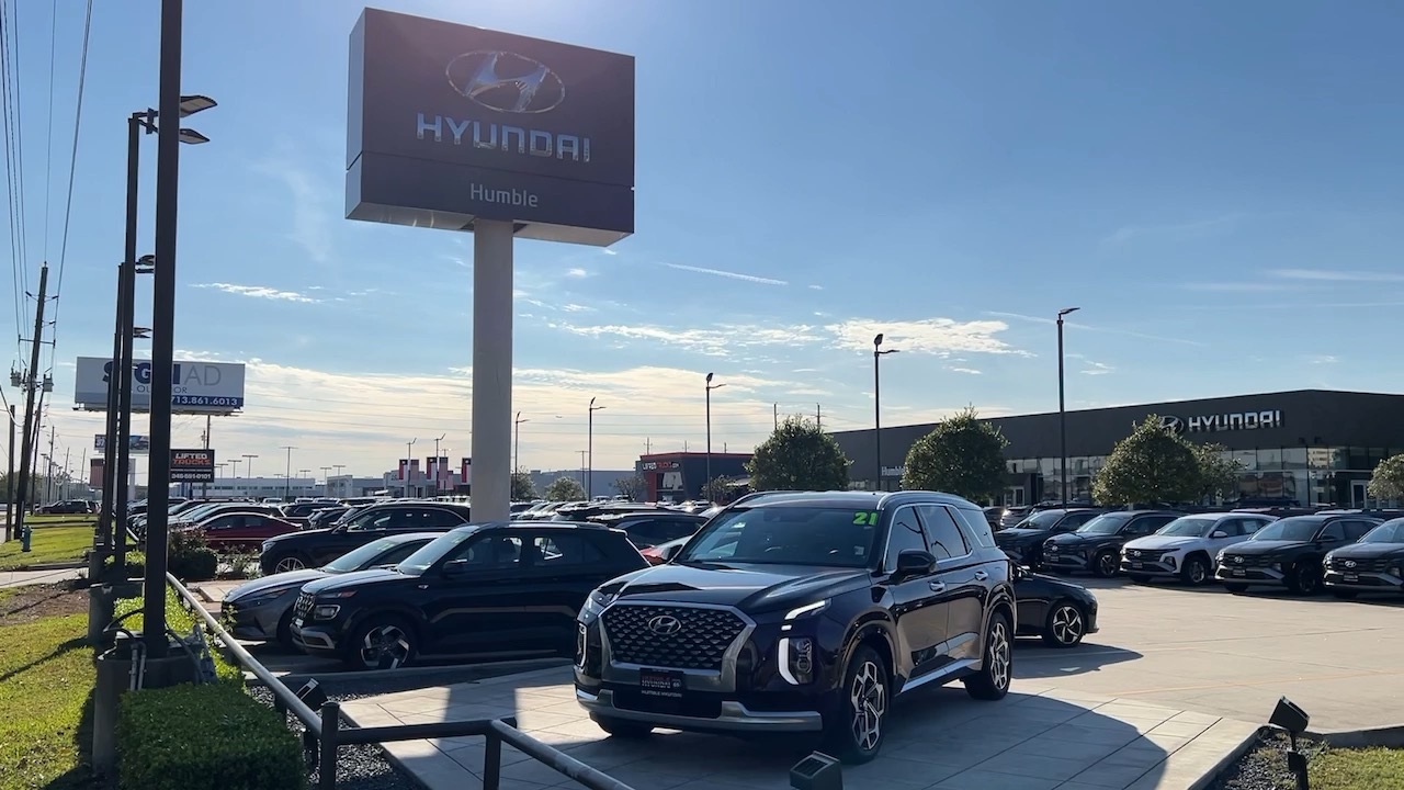 2021 Hyundai Palisade Calligraphy 40