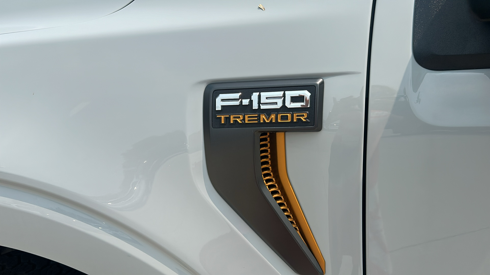 2023 Ford F-150 Tremor 10