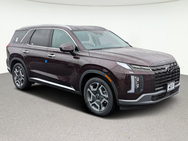 2024 Hyundai Palisade Limited 3