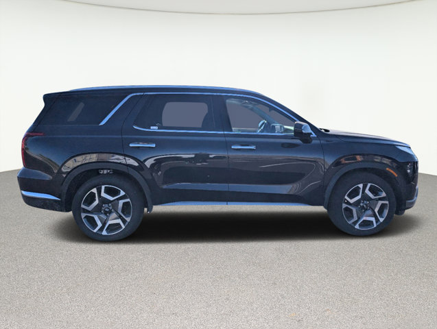 2024 Hyundai Palisade Limited 7