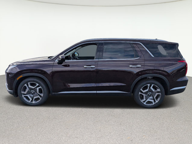 2024 Hyundai Palisade Limited 8