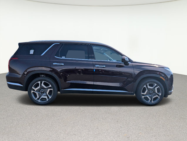 2024 Hyundai Palisade SEL 4