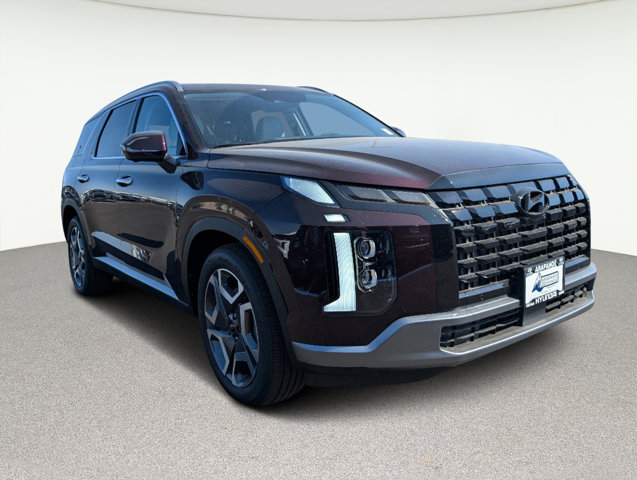 2025 Hyundai Palisade SEL Premium 3