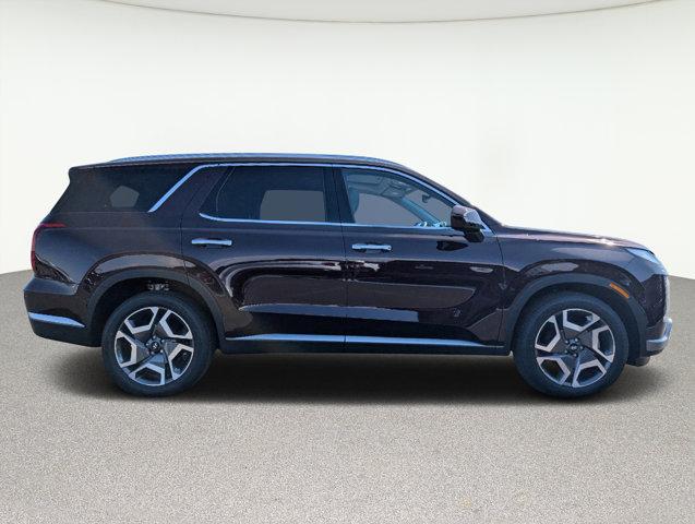 2025 Hyundai Palisade SEL Premium 4