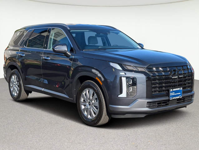 2024 Hyundai Palisade SEL 3