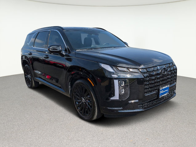 2024 Hyundai Palisade Calligraphy Night Edition 3