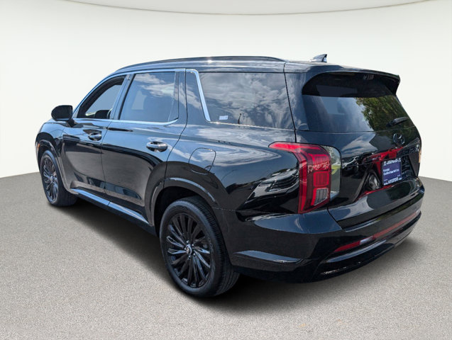 2024 Hyundai Palisade Calligraphy Night Edition 7