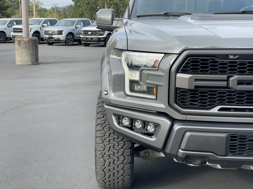 2018 Ford F-150 Raptor 8