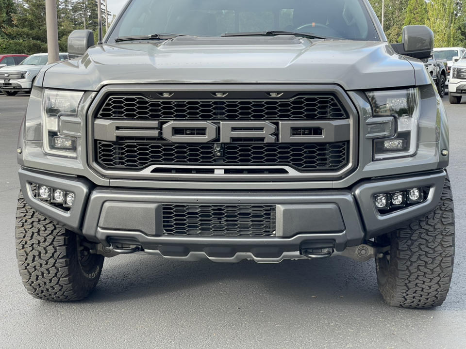 2018 Ford F-150 Raptor 9