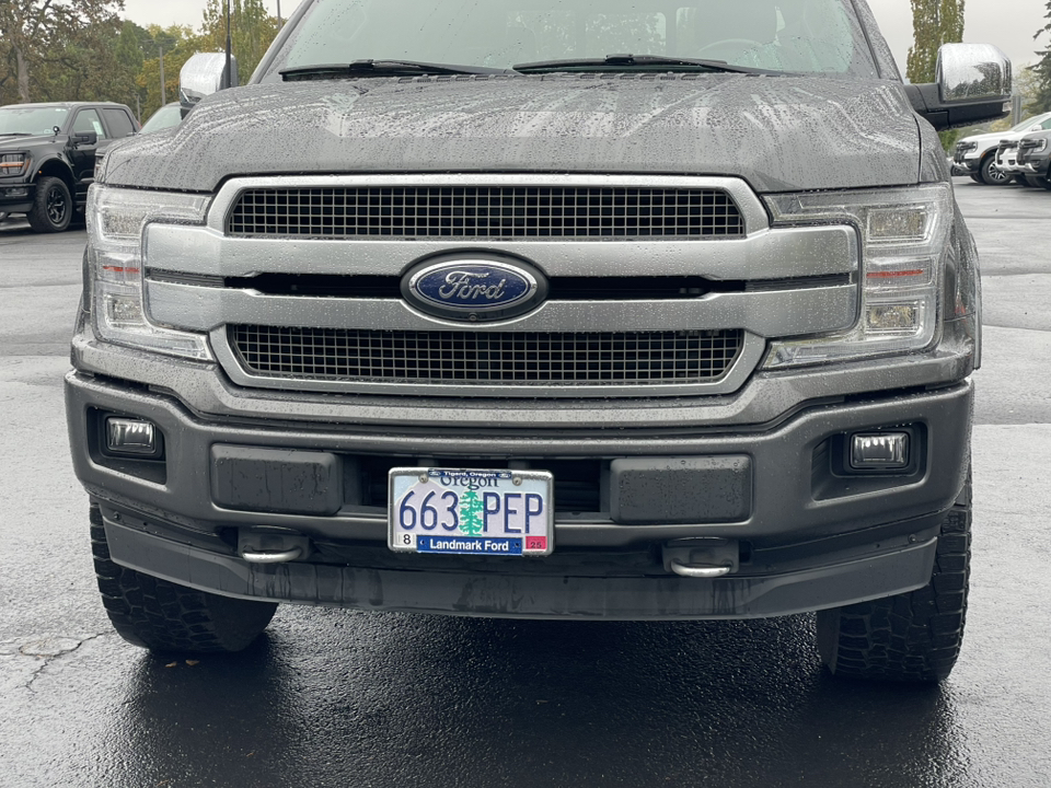 2020 Ford F-150 Platinum 9