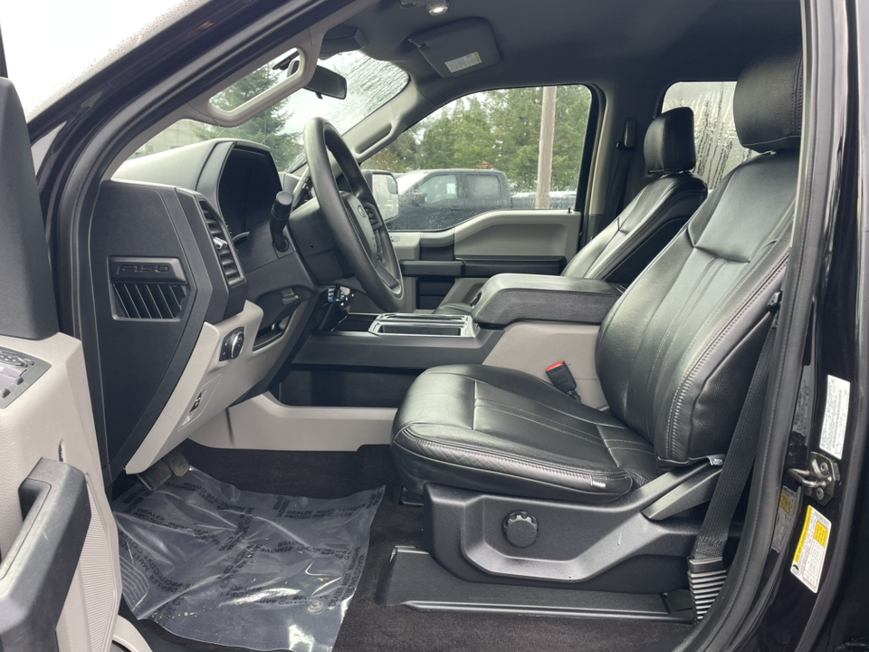 2019 Ford F-150 XL 15