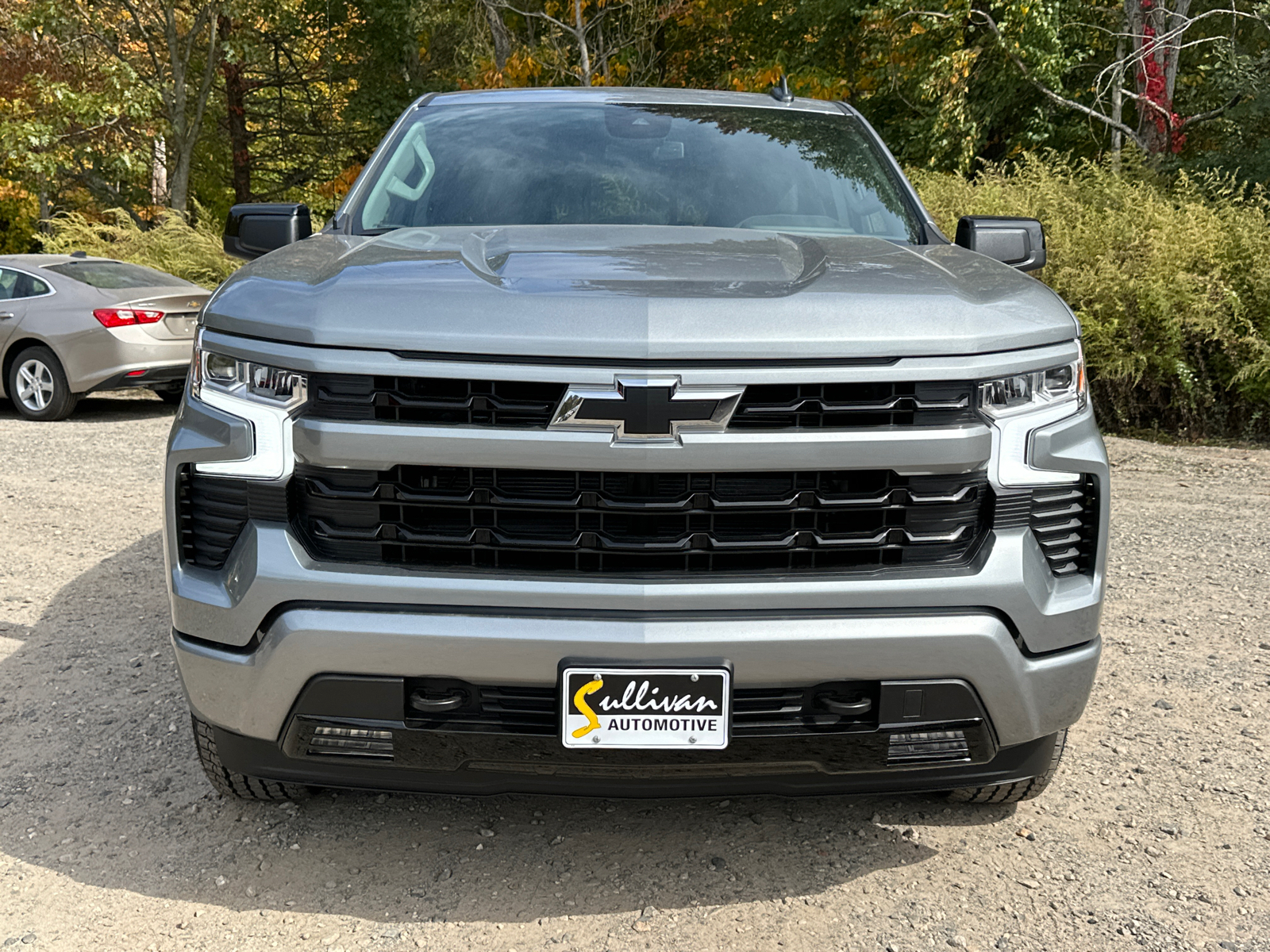 2025 Chevrolet Silverado 1500 RST 8