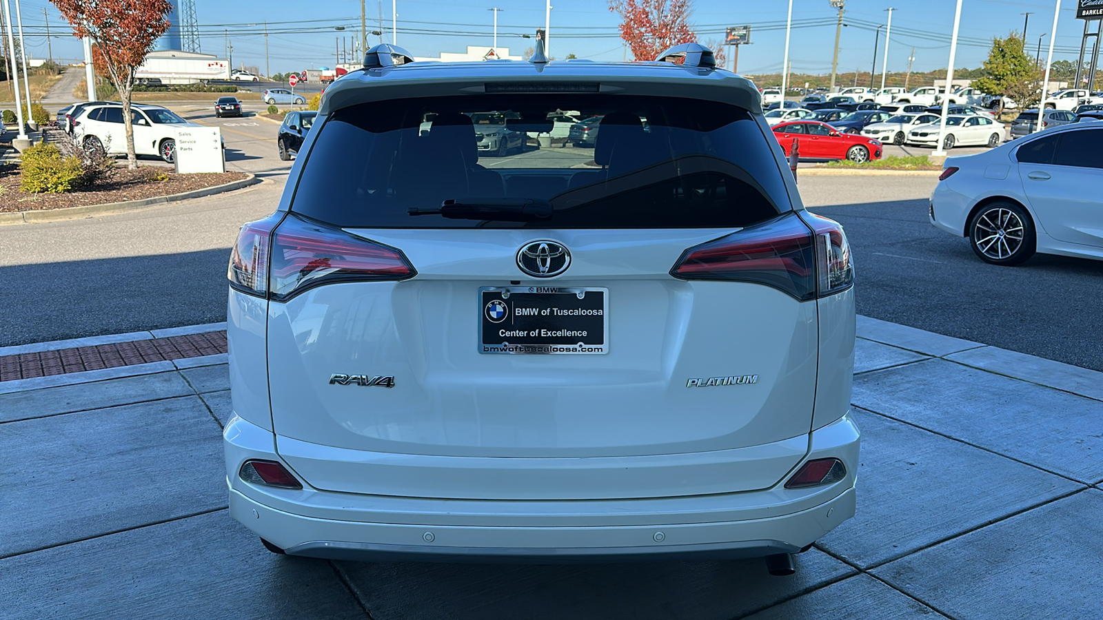 2017 Toyota RAV4 Platinum 5